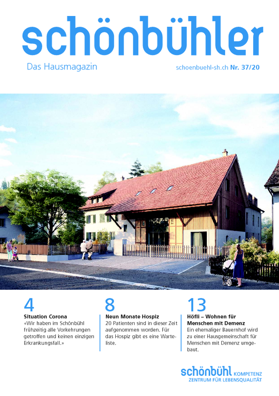 Schoenbuehler_SB_37_2020.pdf 